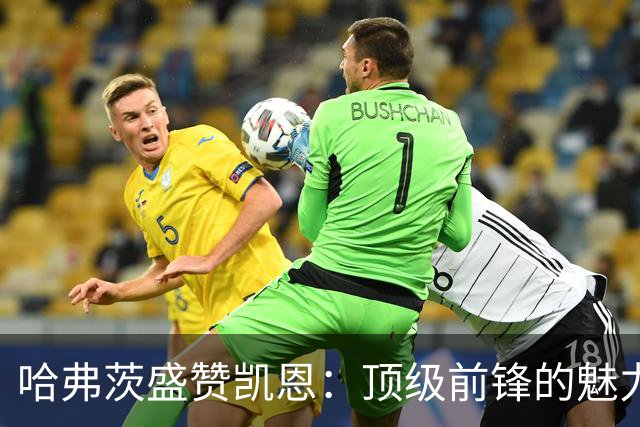 哈弗茨盛赞凯恩：顶级前锋的魅力与团队协作
